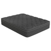 Omnisense 15.5" Mattress, Black, King