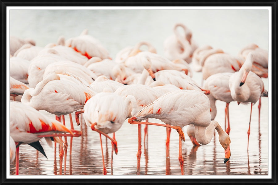 France IX Artist:Adam Mowery