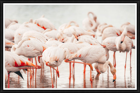 France IX Artist:Adam Mowery