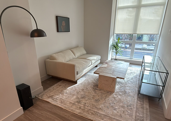 Astra Rug 5'3'' x 7'7"