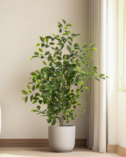 Faux Ficus