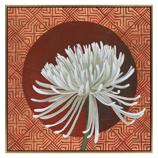 Morning Chrysanthemum