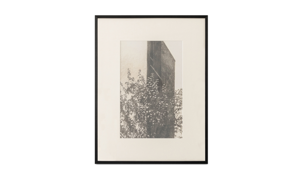 Sifted 02 | Framed Print