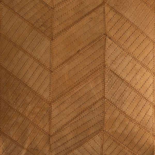 Sian Chevron Pillow Set of 2