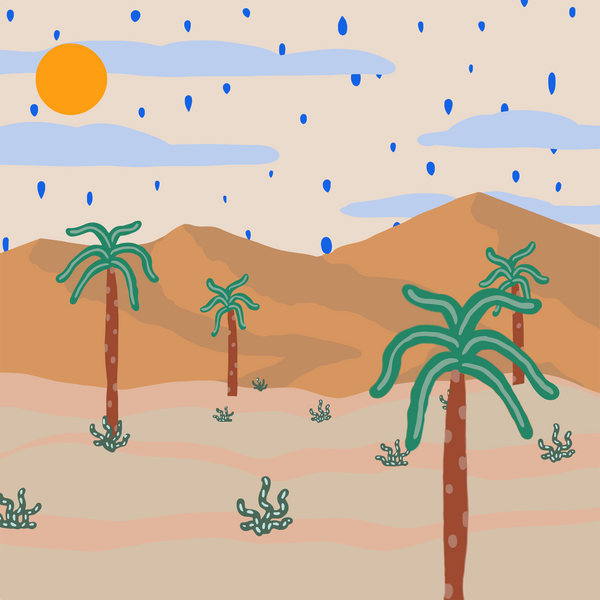 Desert Palm