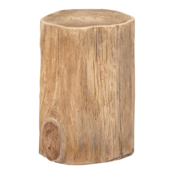 Ottis Teak End Table