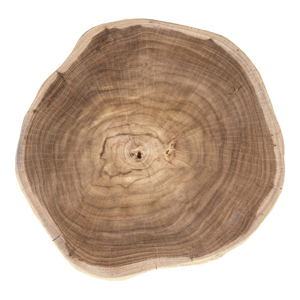 Ottis Teak End Table